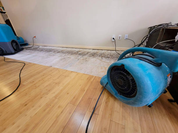 Professional Water Damage Repair technician working in Naples, ME